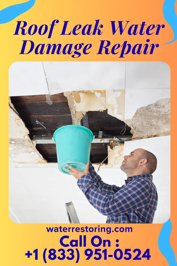 Roof Leak Water Damage Repair in Canby, OR